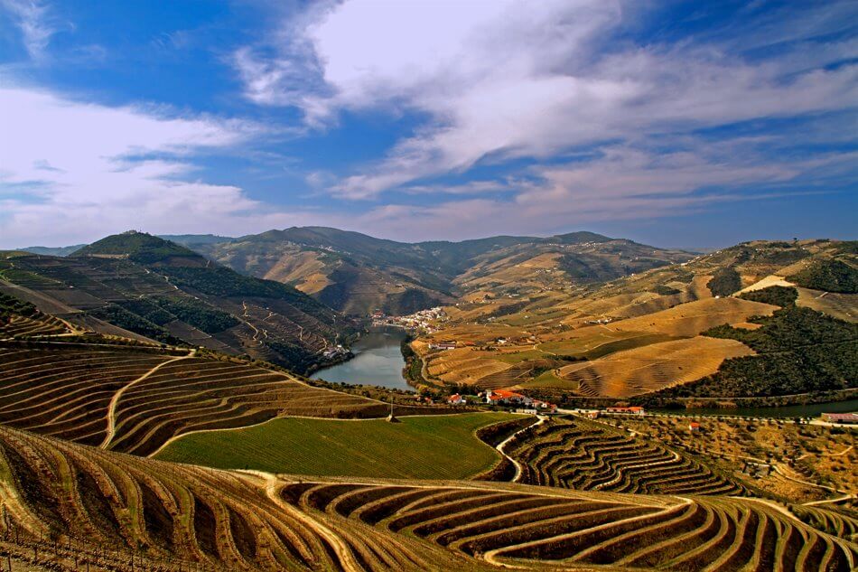 Alto-Douro-Vinhateiro-Sempeneiras-Fotografia