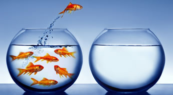 estrategia-do-oceano-azul-no-ecommerce