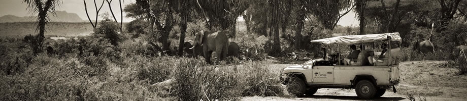 safaris no Quénia - topmic turismo